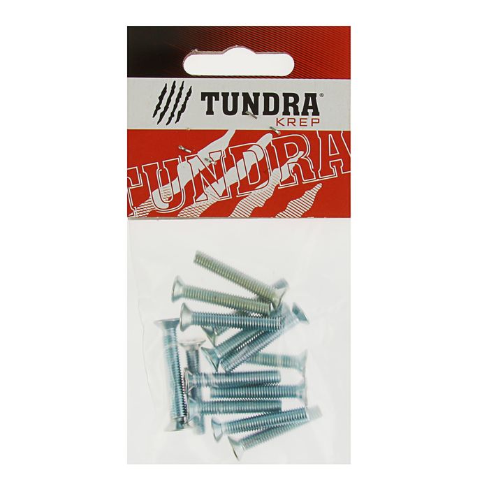 Винт DIN965 TUNDRA krep, с потайной головкой, оцинк. М5х30 мм, в пакете 15 шт.