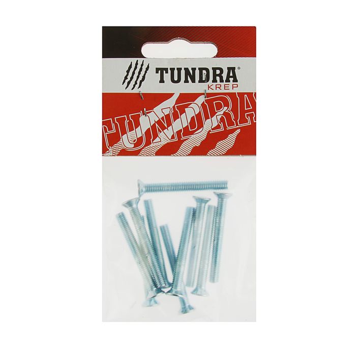 Винт DIN965 TUNDRA krep, с потайной головкой, оцинк. М5х40 мм, в пакете 10 шт.