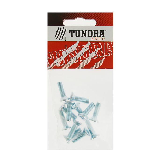 Винт DIN965 TUNDRA krep, с потайной головкой, оцинк. М6х20 мм, в пакете 12 шт.