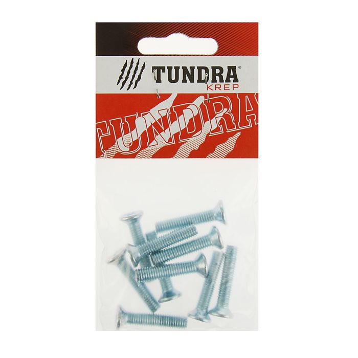 Винт DIN965 TUNDRA krep, с потайной головкой, оцинк. М6х30 мм, в пакете 10 шт.