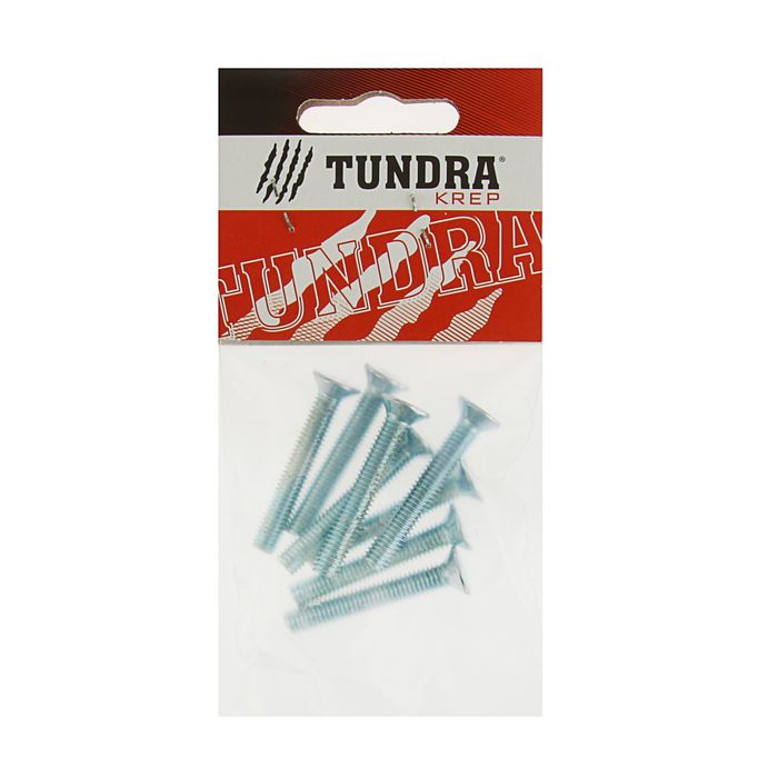 Винт DIN965 TUNDRA krep, с потайной головкой, оцинк. М6х40 мм, в пакете 8 шт.