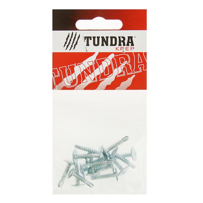 Саморезы с прессшайбой TUNDRA krep, 4.2х19 мм, сверло, 15 шт.
