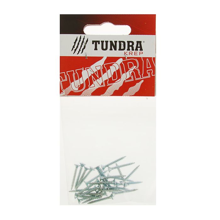 Саморезы универсальные TUNDRA krep, 2.5х20 мм, цинк, потай, 25 шт.