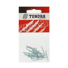 

Саморезы универсальные TUNDRA krep, 2.5х25 мм, цинк, потай, 25 шт.