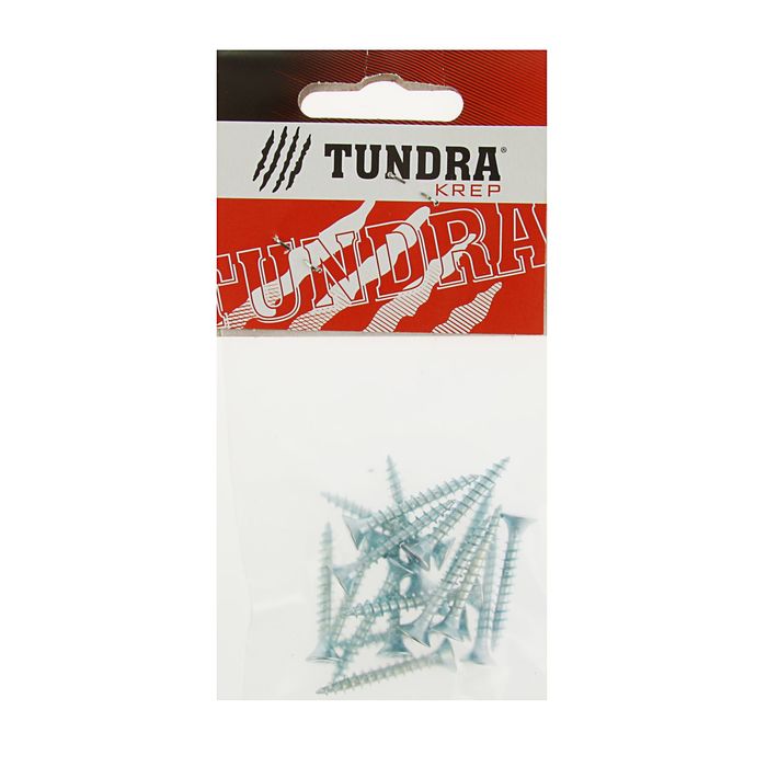 Саморезы универсальные TUNDRA krep, 4х30 мм, цинк, потай, 17 шт.