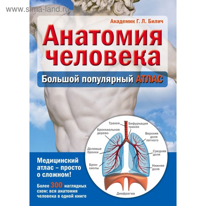 Анатомия человека: большой популярный атлас. Билич Г.Л. анатомия и физиология большой популярный атлас билич г л зигалова е ю