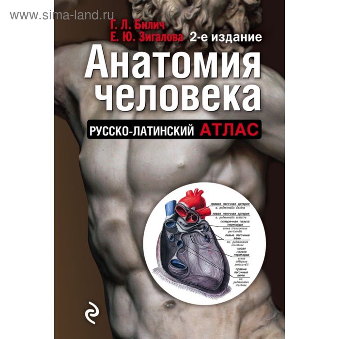Анатомия человека: Русско-латинский атлас. 2-е издание цветной атлас анатомии человека третье издание guo guangwen полноцветная анатомия человека атлас 3 е издание без курса либрос