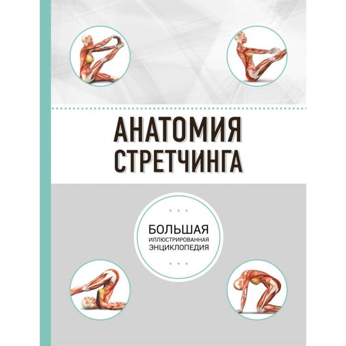 

Анатомия стретчинга. Большая иллюстрированная энциклопедия