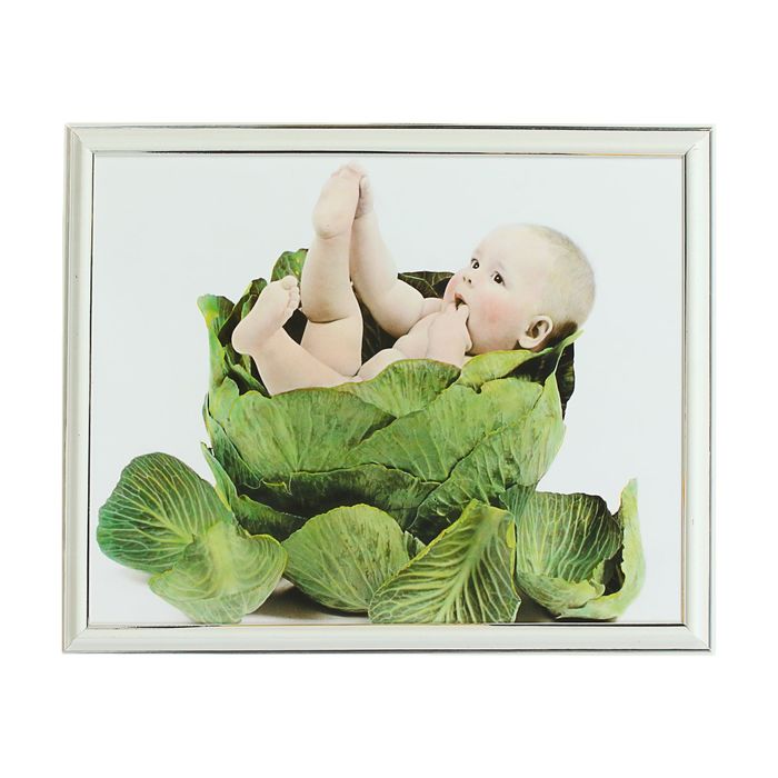 Картина "Младенец в капусте"