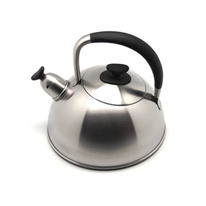 Чайник со свистком, объём 2л, "ОКСФОРД", матированный
