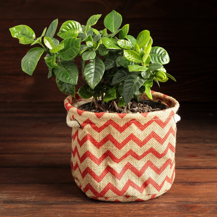 Упаковка для композиций, джут,красные зигзаги 20 х 20 х 17 см