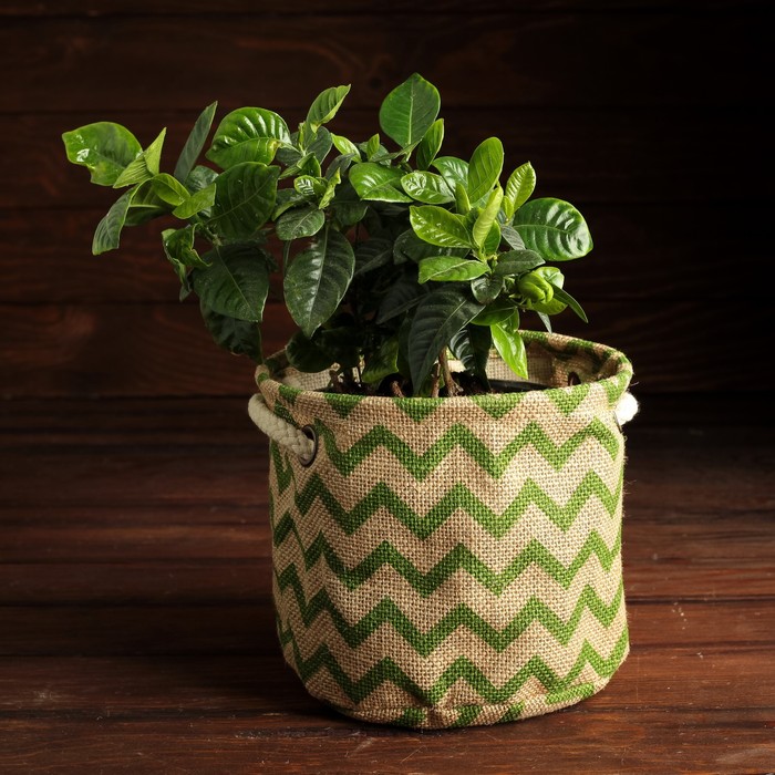 Упаковка для композиций, джут, 24 х 24 х 18 см, зелёные зигзаги