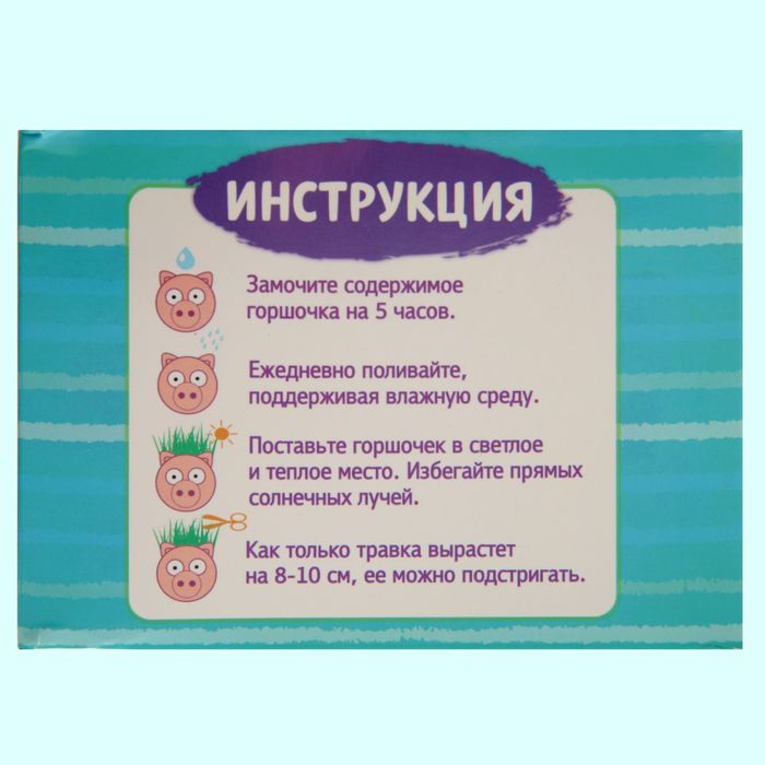 Растущая трава керамика "Хрюшка" 5,5х10х8 см