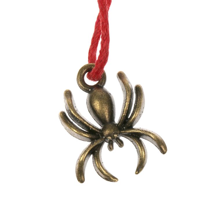 Кошельковый талисман "Денежный паук"