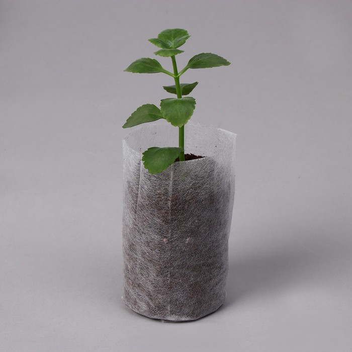 Набор для рассады: стаканы - 6 шт. по 350 мл, поддон 23 х 16 см