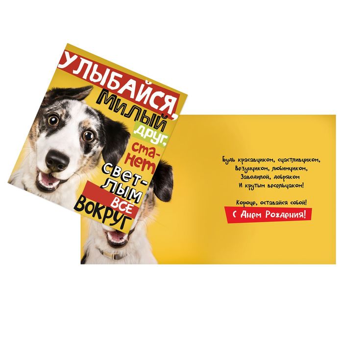 Открытка «Улыбайся!», 14 х 16 см