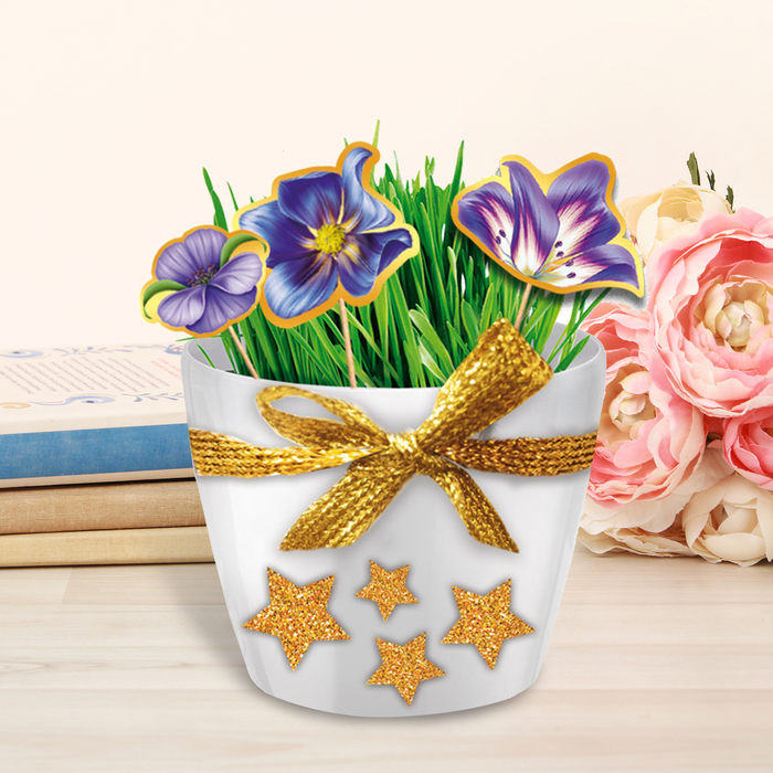 Растущий сувенир в горшочке "На исполнение желаний" + декор