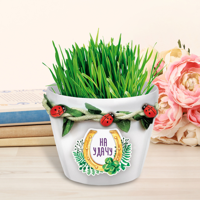 Растущий сувенир в горшочке "На удачу" + декор