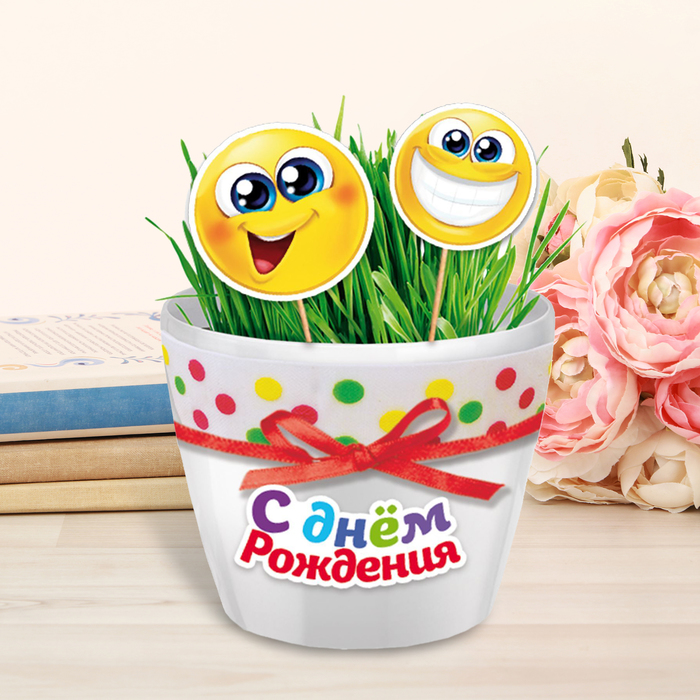 Растущий сувенир в горшке "На День рождения" + декор