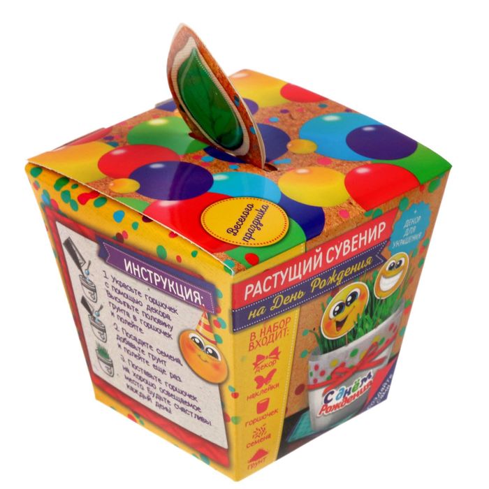 Растущий сувенир в горшке "На День рождения" + декор