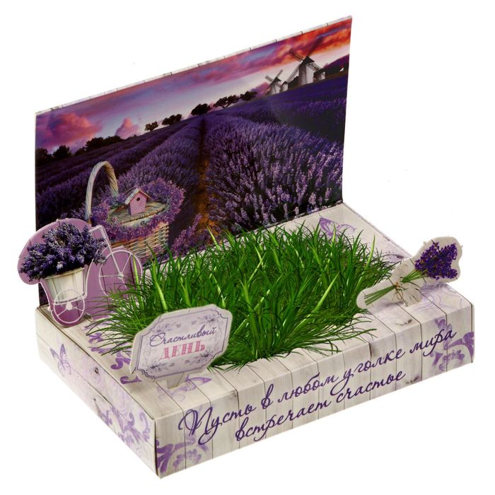 Растущий сувенир в открытке "Счастья каждый день"