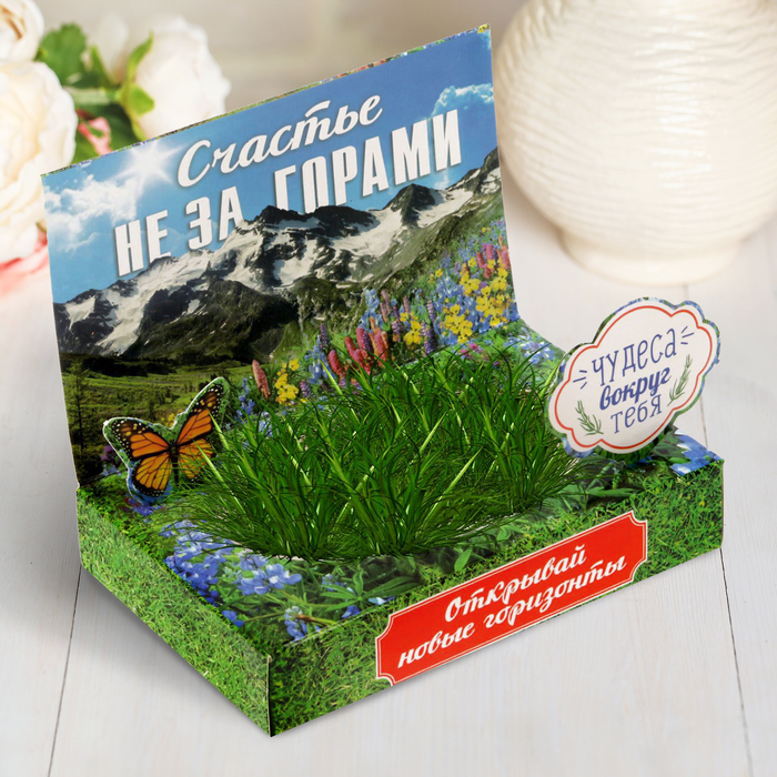 Растущий сувенир в открытке "Поверь в мечту"