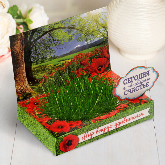 Растущий сувенир в открытке "Мир вокруг - удивителен"