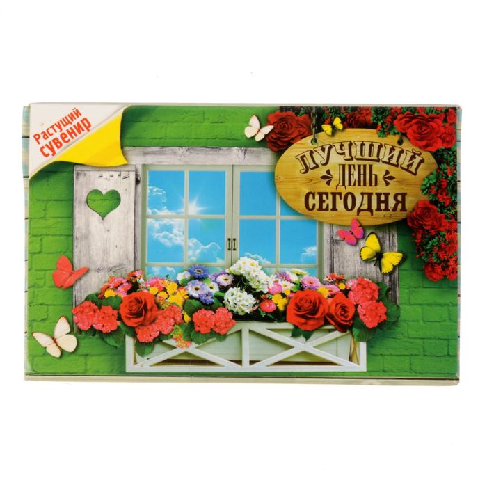Растущий сувенир в открытке "Лучший день сегодня"