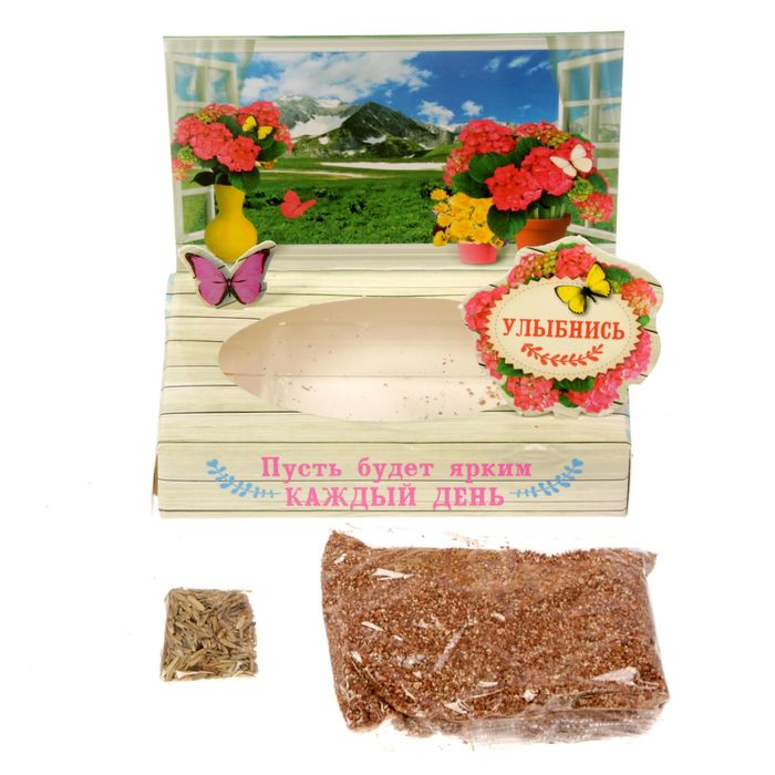 Растущий сувенир в открытке "Лучший день сегодня"