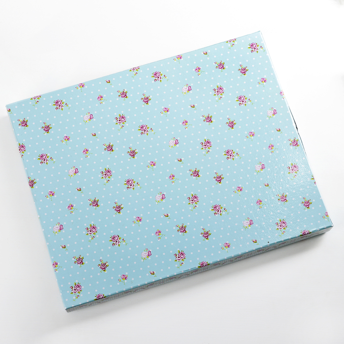 Подставка для торта 30 см "Рондо", с лопаткой, цвет голубой