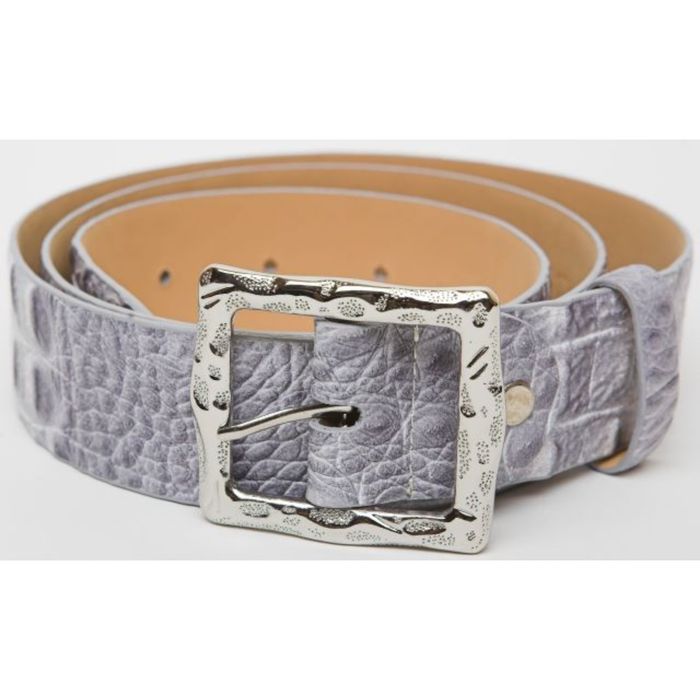 Ремень женский, 4х120х0,3 см, пряжка серебро, цвет серый