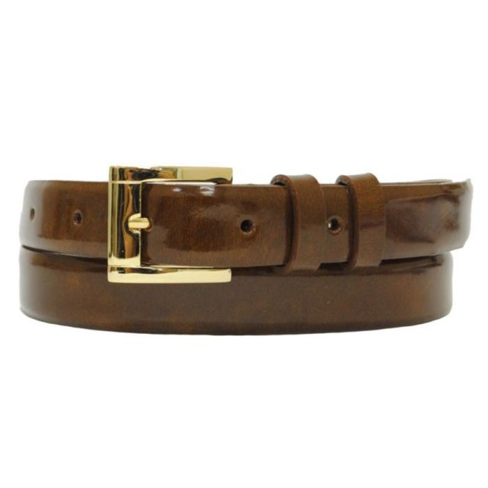 Ремень женский, 2,5х110х0,3 см, пряжка золото, цвет коричневый