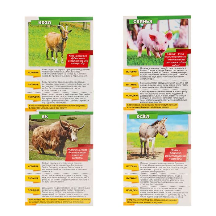 Мини-энциклопедия "Домашние животные мира", 20 стр.