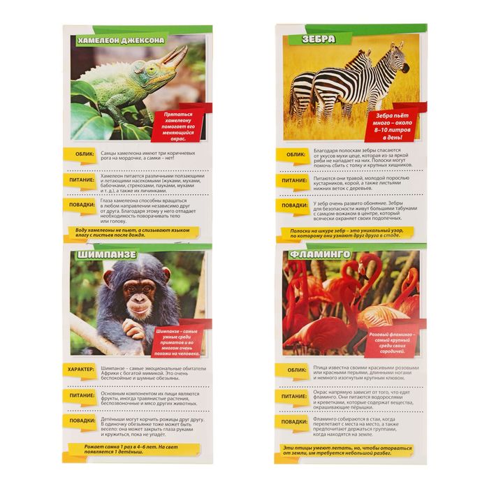 Мини-энциклопедия "Животные Африки", 20 стр.