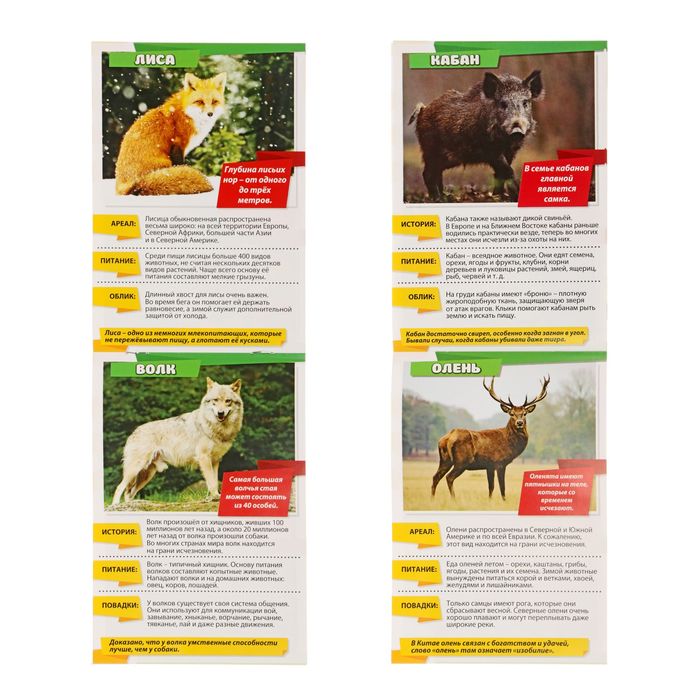 Мини-энциклопедия "Лесные животные", 20 стр.