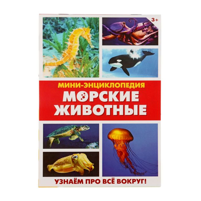 Мини-энциклопедия "Морские животные", 20 стр.