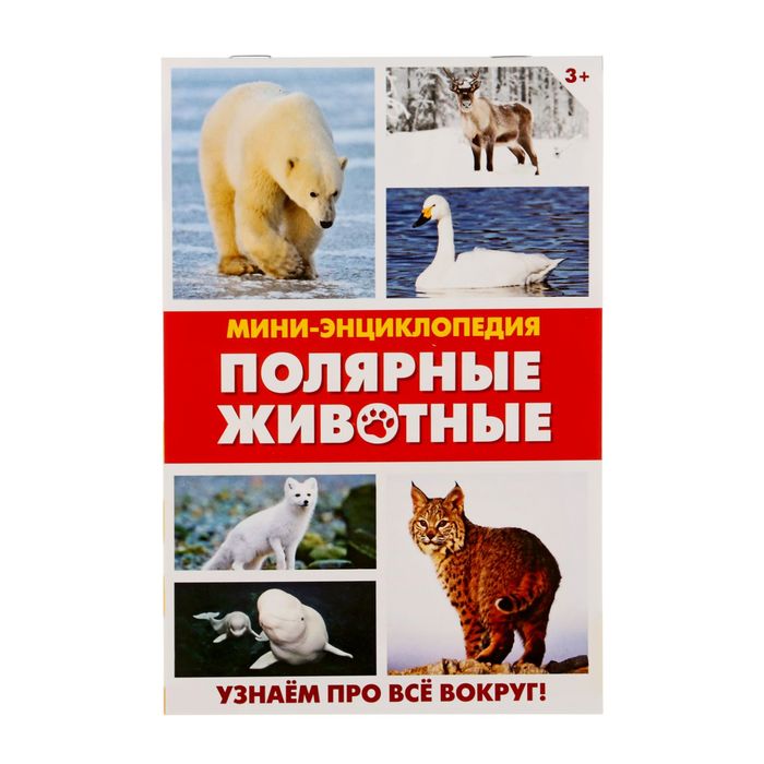 Мини-энциклопедия "Полярные животные", 20 стр.