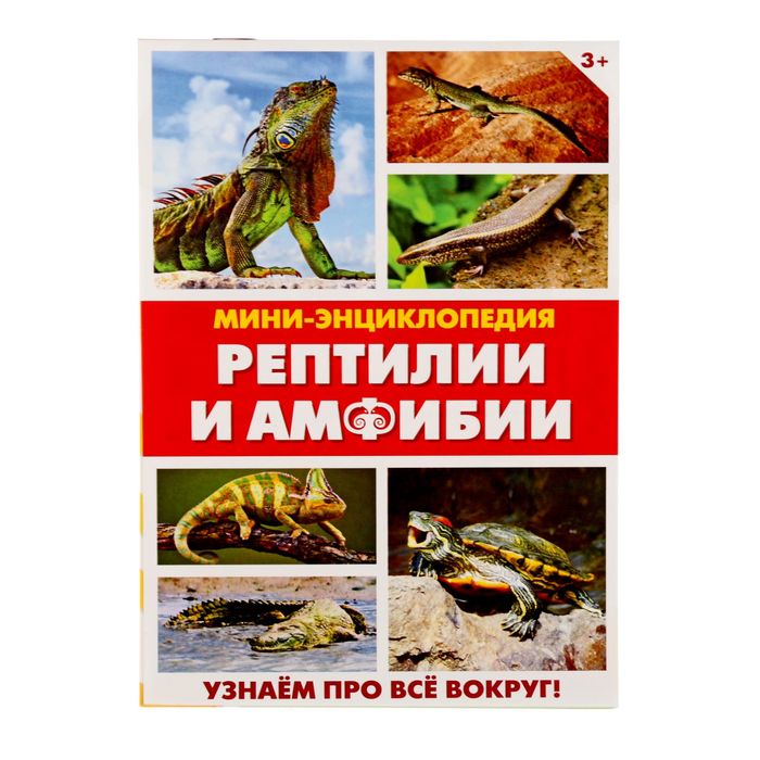 Мини-энциклопедия "Рептилии и амфибии", 20 стр.