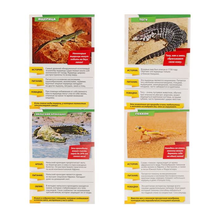 Мини-энциклопедия "Рептилии и амфибии", 20 стр.