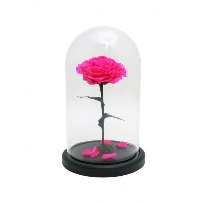 Композиция в стекле "Красавица и чудовище" в куполе, ярко-розовый, 16 х 16 х 26 см