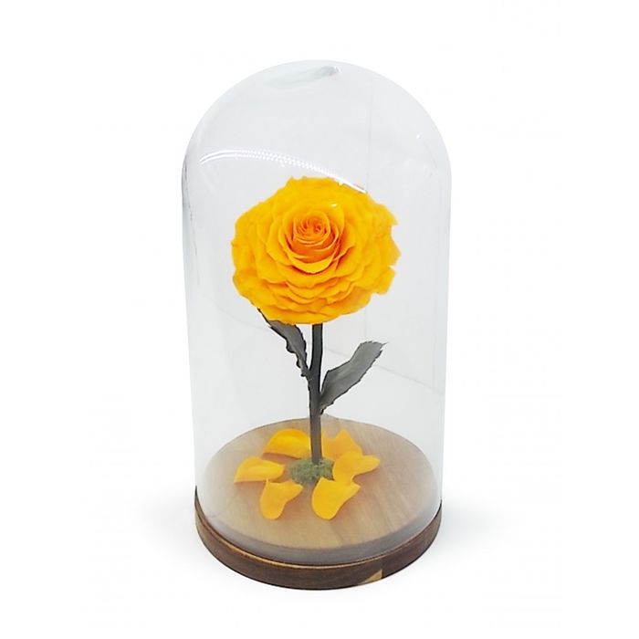 Композиция в стекле "Красавица и чудовище" в куполе, оранжевый, 16 х 16 х 26 см