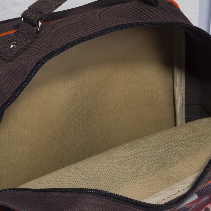 Рюкзак школьный на молнии, 2 отдела, 2 наружных кармана, цвет оранжевый/коричневый