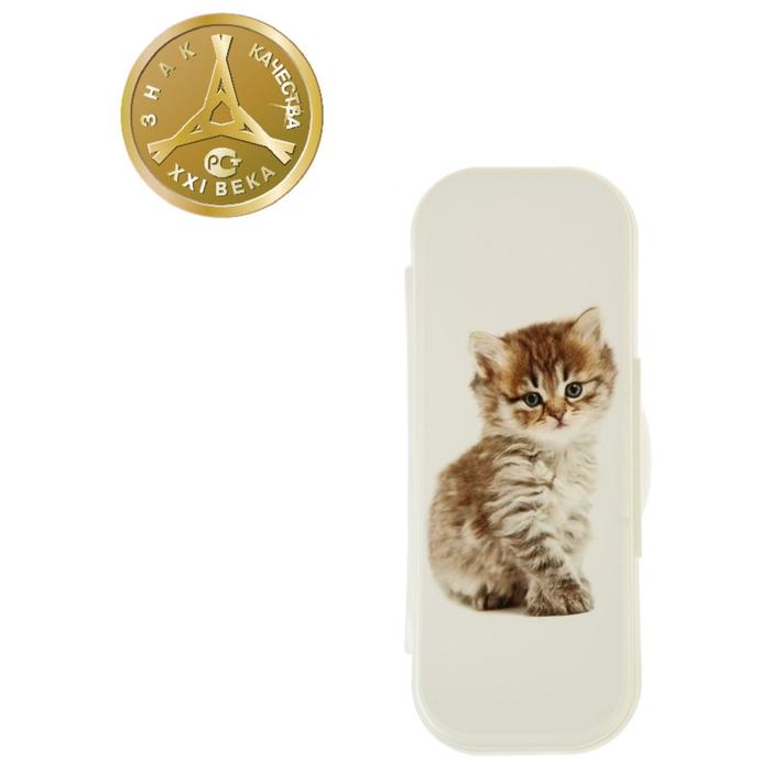 Пенал пластиковый футляр 90х217х43 мм Стамм "Котенок"