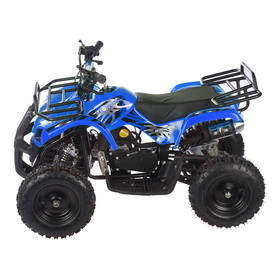 

Квадроцикл детский бензиновый MOTAX ATV Х-16 Мини-Гризли, синий, механический стартер