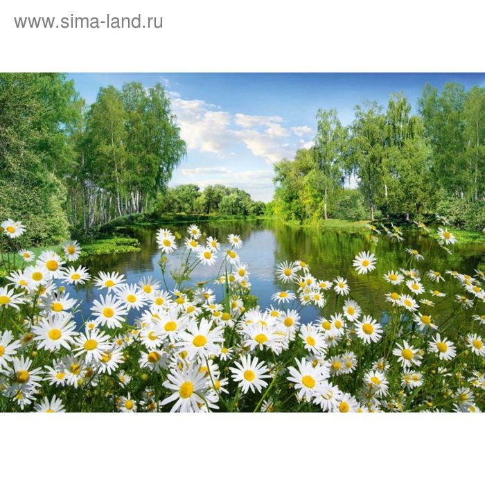 

Фотообои Ромашки ЛЮКС 1,94х1,36 м (из 4 листов)