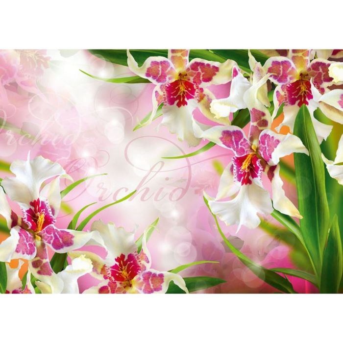 Фотообои Цветочный вальс ЛЮКС 2,72х1,94 м (из 8 листов)