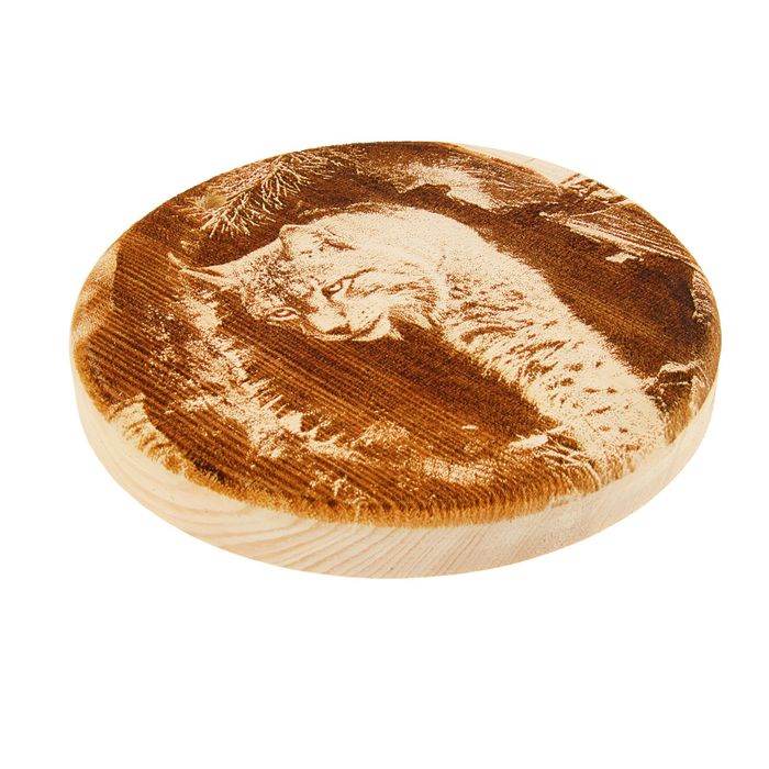 Доска из массива кедра «Рысь в дупле», круглая, 18 × 18 см