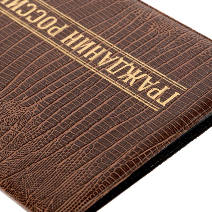 Обложка для автодокументов рептилия "Гражданин России"