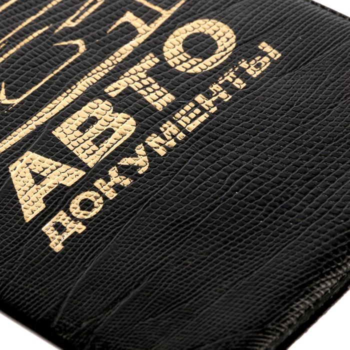 Обложка для автодокументов рептилия "Силуэт машины"