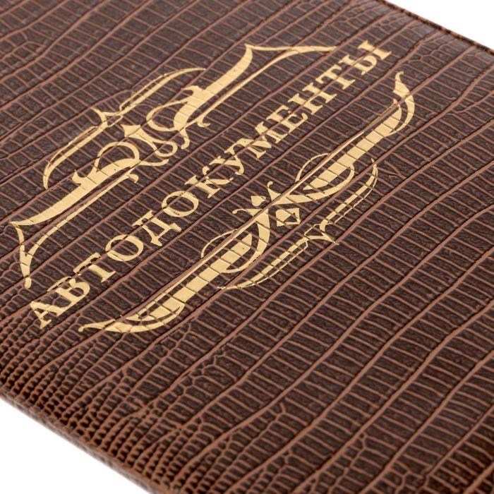 Обложка для автодокументов рептилия "Автодокументы" коричневая